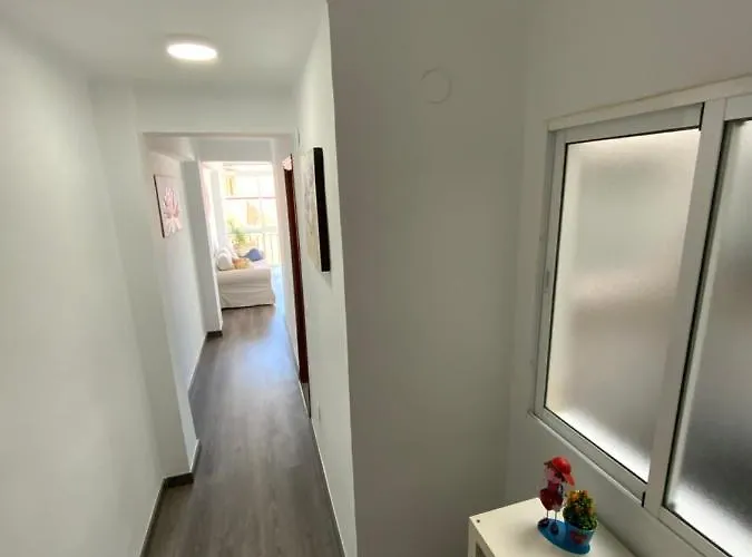 Berlanga Apartamento Apartment